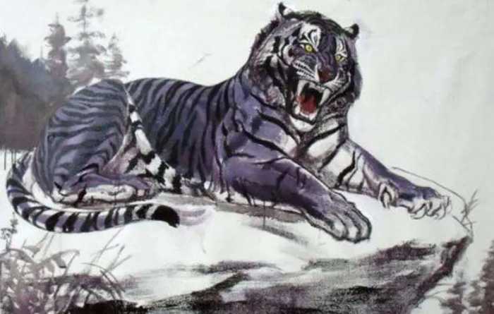 我国最稀有的三种老虎，霸王猇史上最强，彪、蓝虎成谜